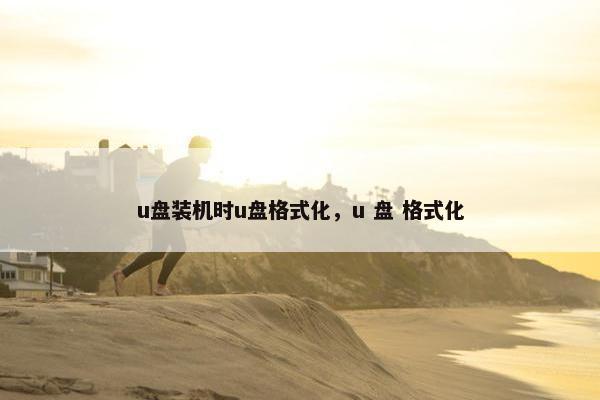 u盘装机时u盘格式化，u 盘 格式化