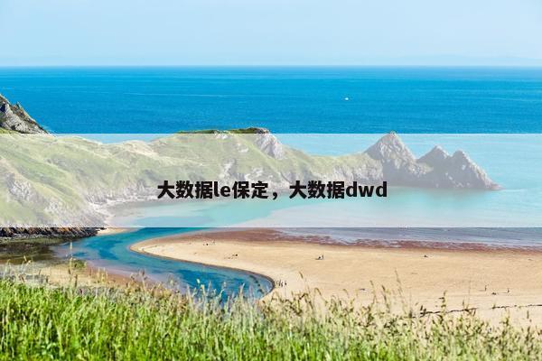 大数据le保定，大数据dwd