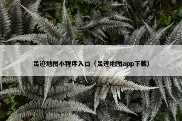 足迹地图小程序入口（足迹地图app下载）