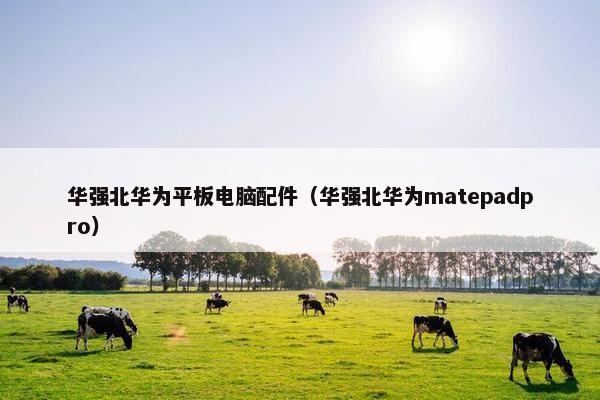 华强北华为平板电脑配件（华强北华为matepadpro）