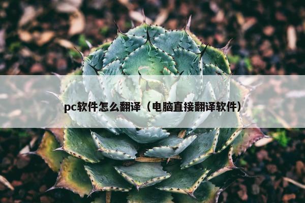 pc软件怎么翻译（电脑直接翻译软件）