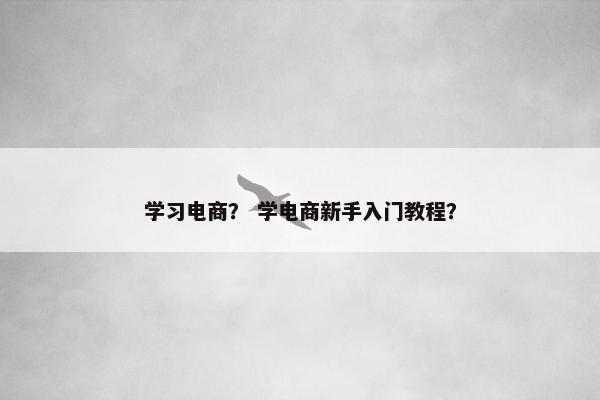 学习电商？ 学电商新手入门教程？