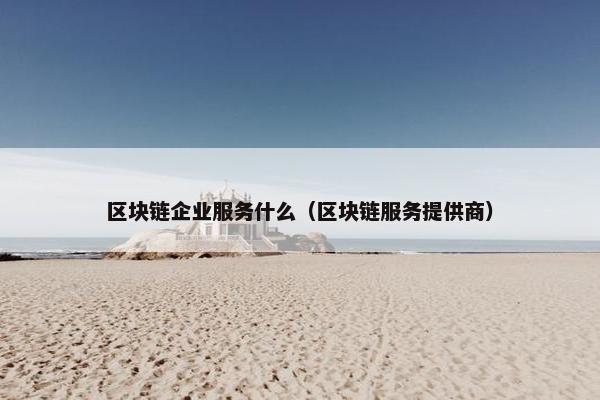 区块链企业服务什么（区块链服务提供商）