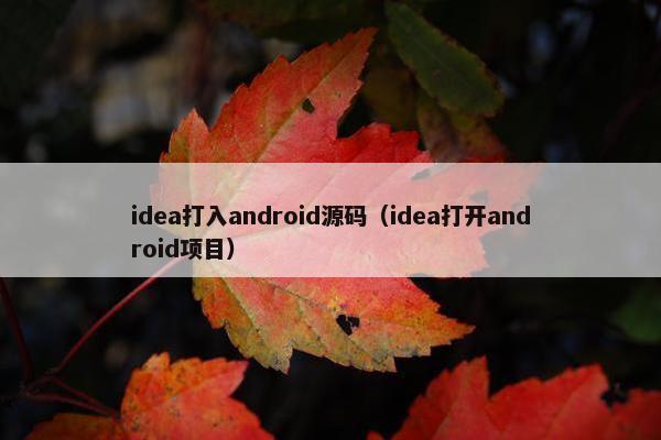 idea打入android源码（idea打开android项目）