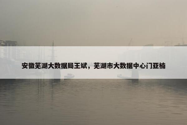 安徽芜湖大数据局王斌，芜湖市大数据中心门亚楠