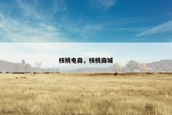 核桃电商，核桃商城