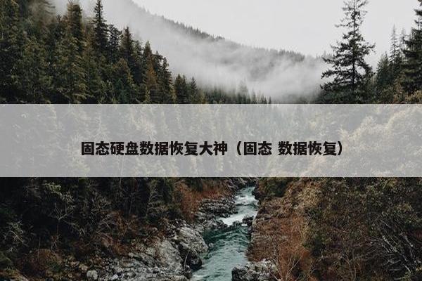 固态硬盘数据恢复大神（固态 数据恢复）