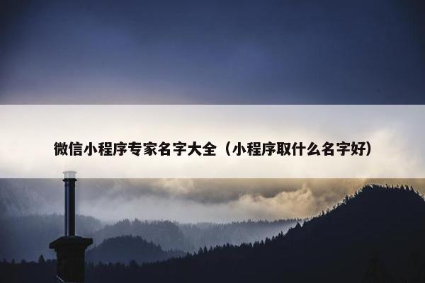 微信小程序专家名字大全（小程序取什么名字好）