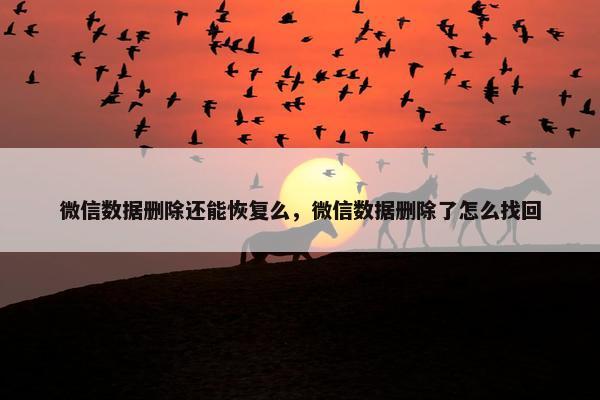 微信数据删除还能恢复么，微信数据删除了怎么找回