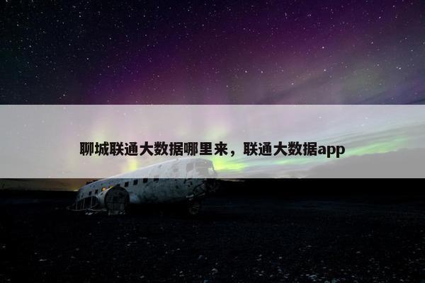 聊城联通大数据哪里来，联通大数据app
