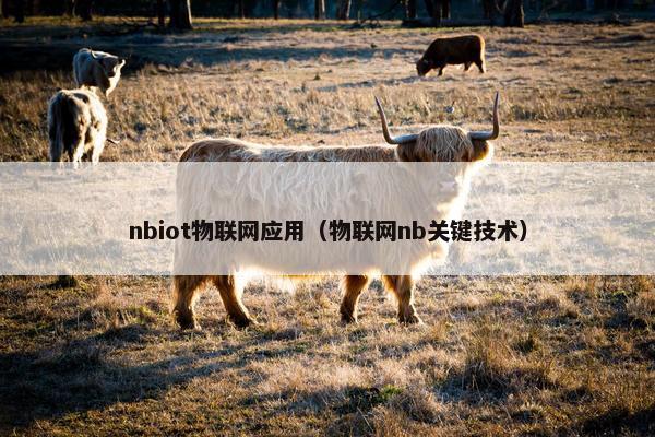 nbiot物联网应用（物联网nb关键技术）