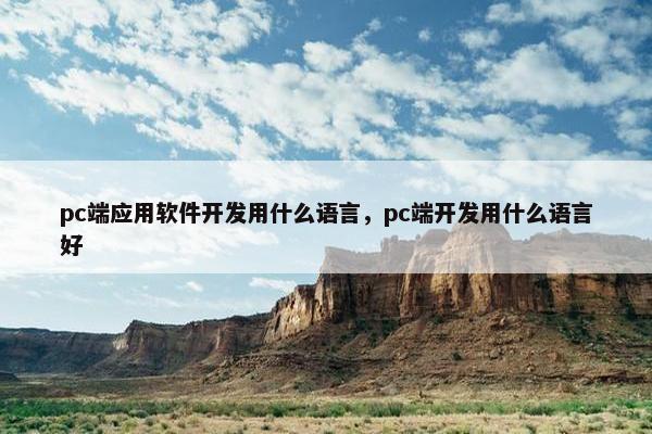 pc端应用软件开发用什么语言，pc端开发用什么语言好