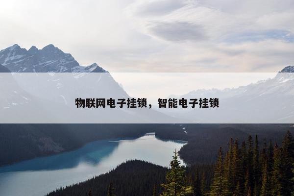 物联网电子挂锁，智能电子挂锁