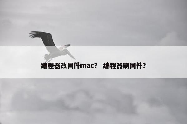 编程器改固件mac？ 编程器刷固件？