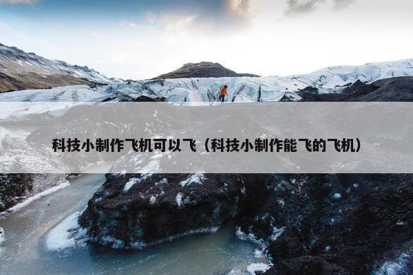 科技小制作飞机可以飞（科技小制作能飞的飞机）