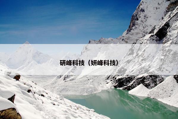 研峰科技(妍峰科技) 研峰科技(妍峰科技)