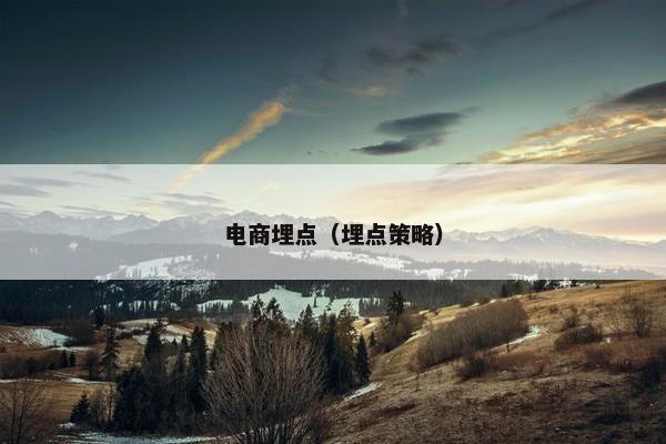 电商埋点（埋点策略）