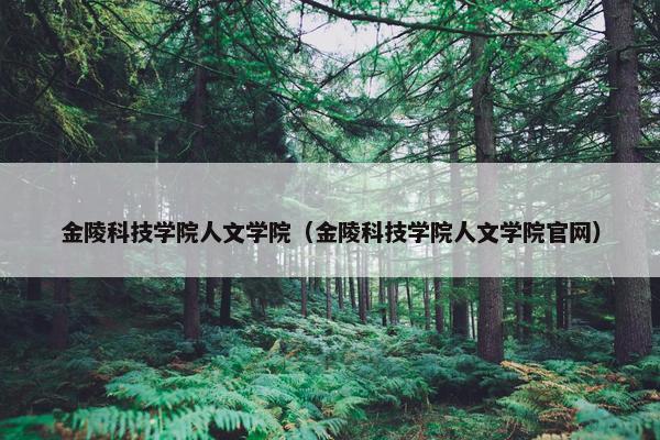 金陵科技学院人文学院（金陵科技学院人文学院官网）