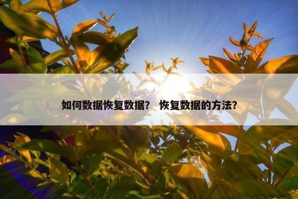 如何数据恢复数据？ 恢复数据的方法？