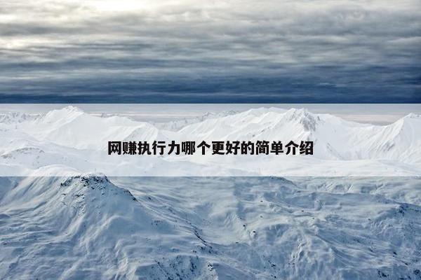 网赚执行力哪个更好的简单介绍