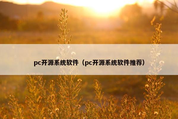 pc开源系统软件（pc开源系统软件推荐）
