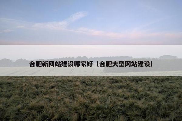 合肥新网站建设哪家好（合肥大型网站建设）