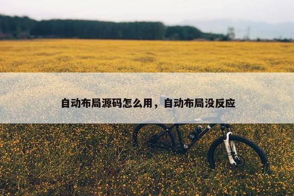 自动布局源码怎么用，自动布局没反应