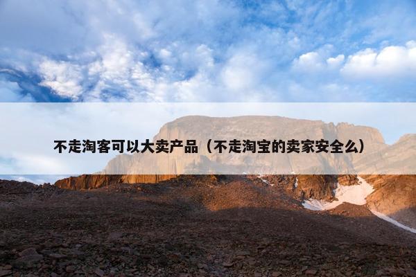 不走淘客可以大卖产品（不走淘宝的卖家安全么）