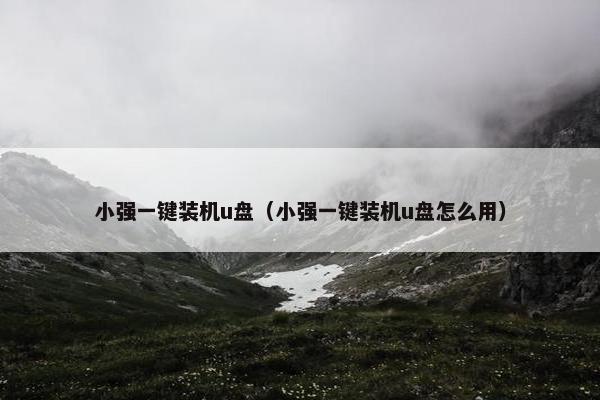 小强一键装机u盘（小强一键装机u盘怎么用）