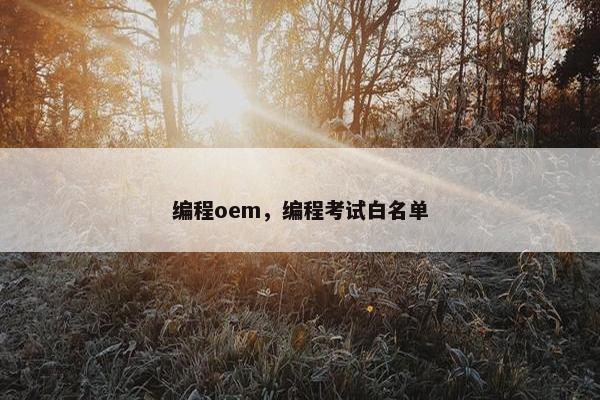 编程oem，编程考试白名单