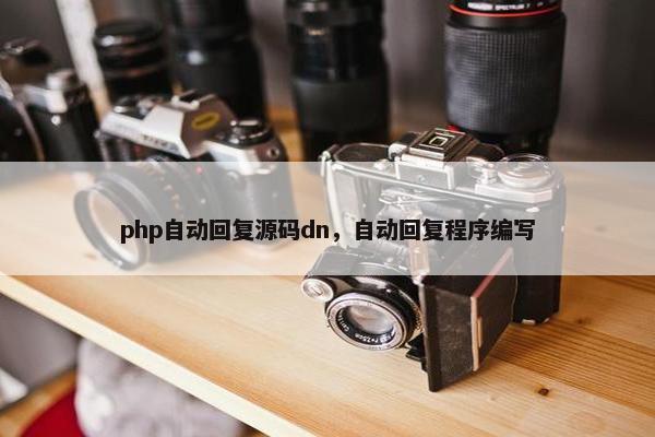 php自动回复源码dn，自动回复程序编写