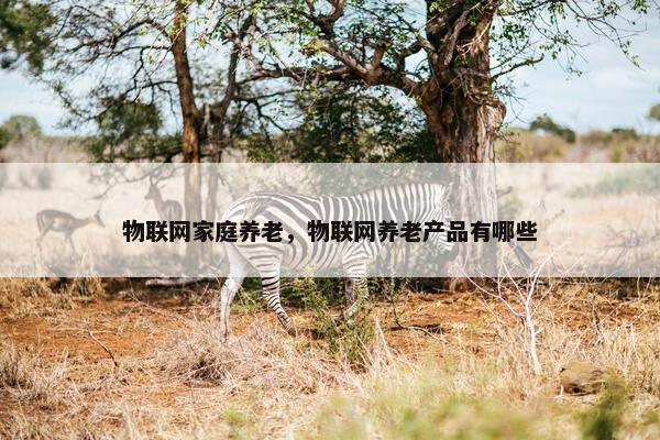 物联网家庭养老，物联网养老产品有哪些