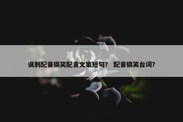 讽刺配音搞笑配音文案短句？ 配音搞笑台词？