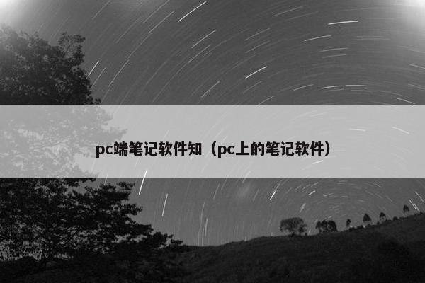 pc端笔记软件知（pc上的笔记软件）
