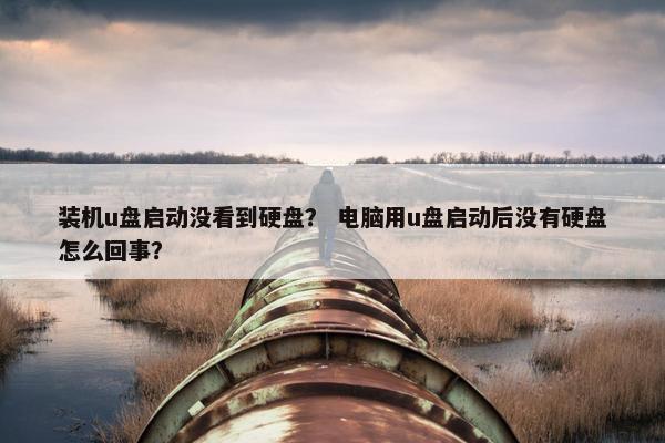 装机u盘启动没看到硬盘？ 电脑用u盘启动后没有硬盘怎么回事？