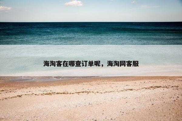 海淘客在哪查订单呢，海淘网客服