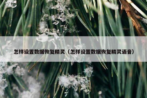 怎样设置数据恢复精灵（怎样设置数据恢复精灵语音）