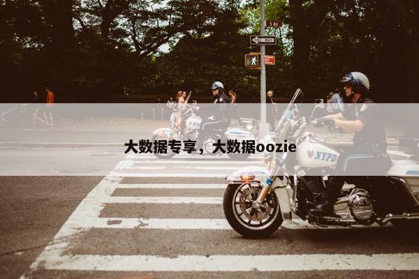 大数据专享，大数据oozie