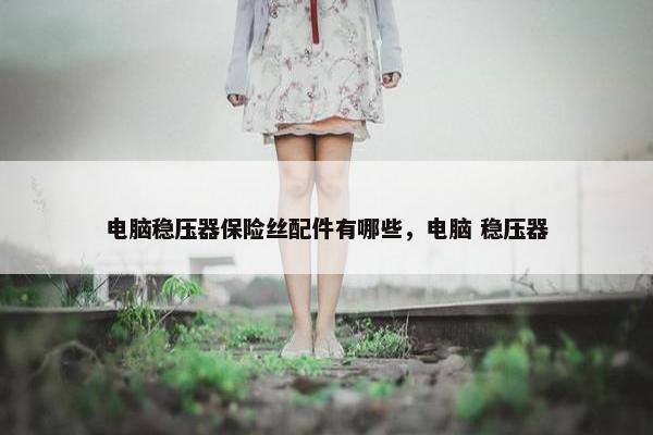 电脑稳压器保险丝配件有哪些，电脑 稳压器