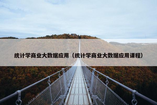 统计学商业大数据应用（统计学商业大数据应用课程）