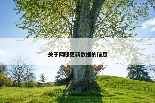 关于网赚更新数据的信息