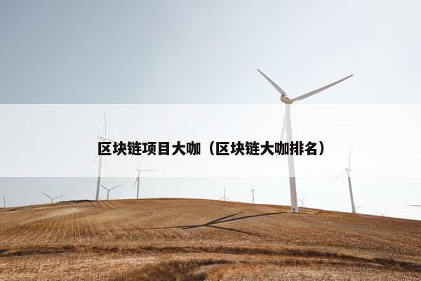 区块链项目大咖（区块链大咖排名）