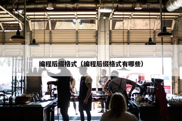 编程后缀格式（编程后缀格式有哪些）