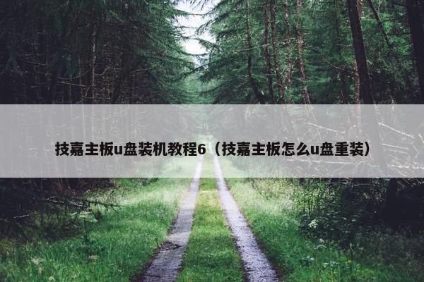 技嘉主板u盘装机教程6（技嘉主板怎么u盘重装）