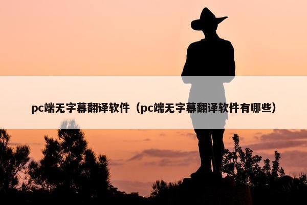 pc端无字幕翻译软件（pc端无字幕翻译软件有哪些）