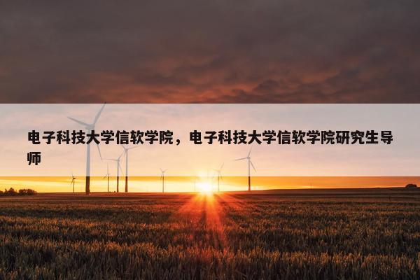 电子科技大学信软学院，电子科技大学信软学院研究生导师