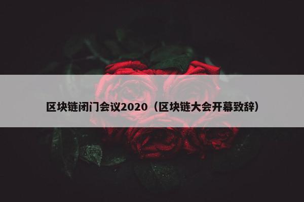 区块链闭门会议2020（区块链大会开幕致辞）