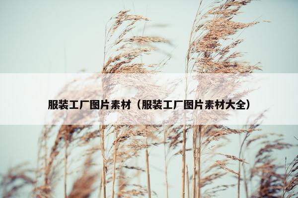 服装工厂图片素材（服装工厂图片素材大全）
