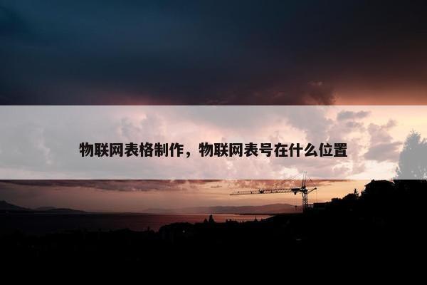 物联网表格制作，物联网表号在什么位置