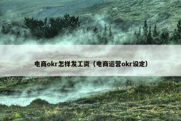 电商okr怎样发工资（电商运营okr设定）